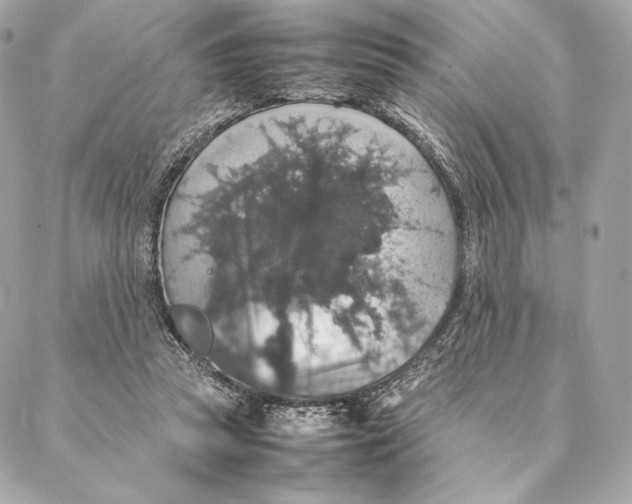 X0000087370353200705111716