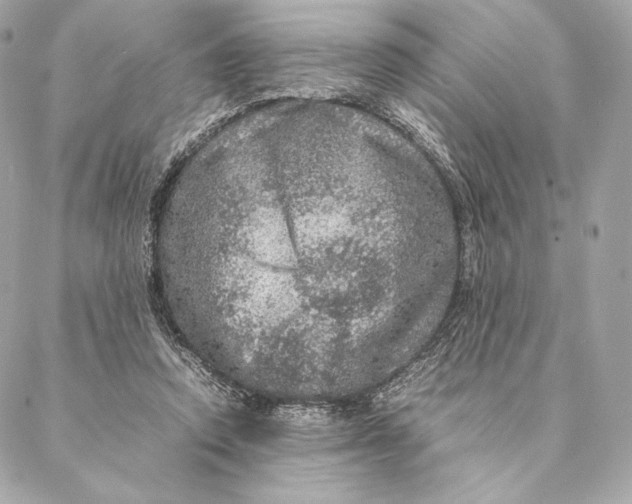 X0000087370354200705111716