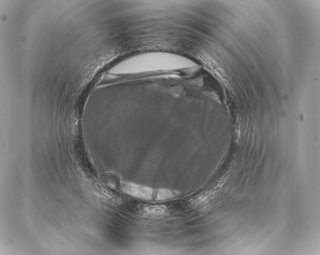 X0000087370355200705111716