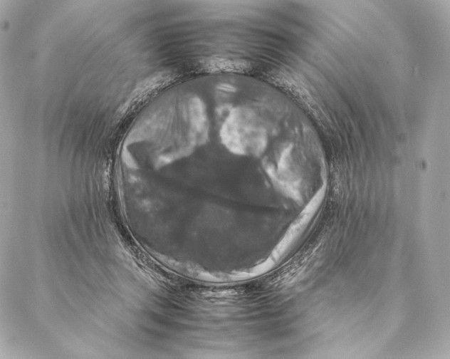 X0000087370357200705111716