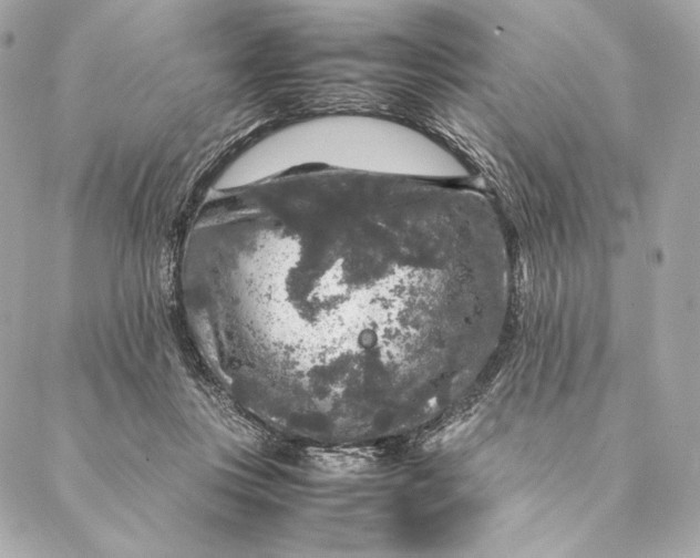 X0000087370359200705111716