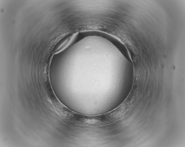 X0000087370360200705111716