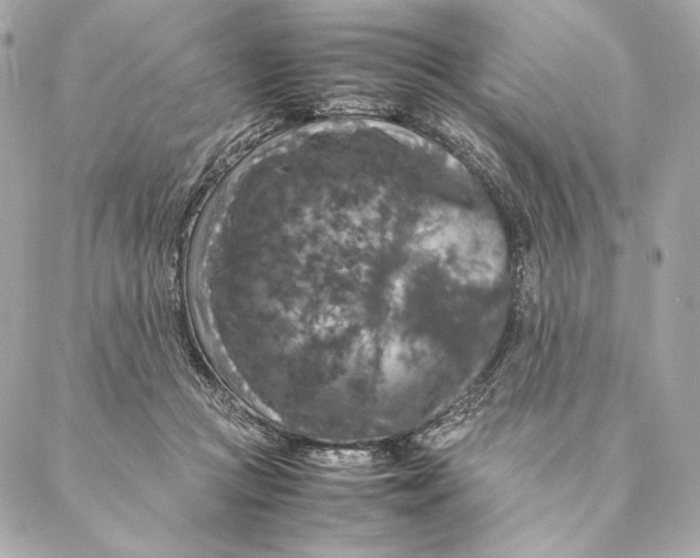 X0000087370361200705111716