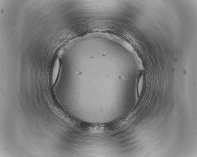 X0000087370362200705111716