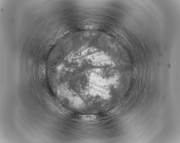 X0000087370363200705111716