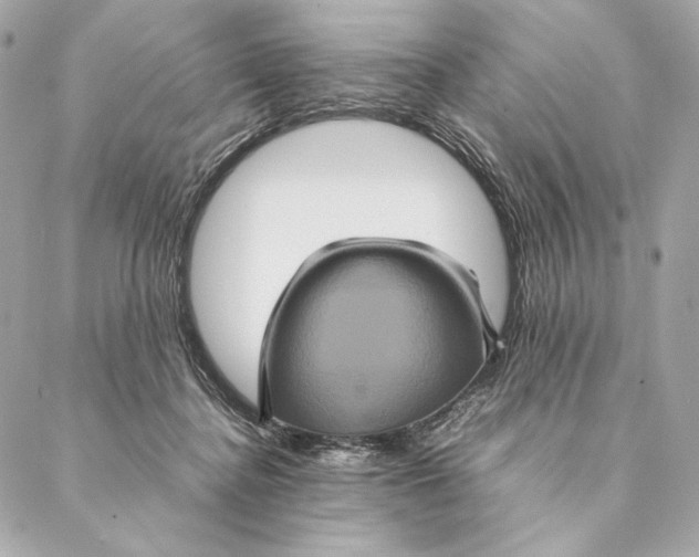 X0000087370364200705111716