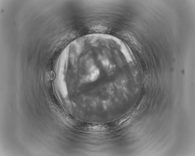 X0000087370365200705111716