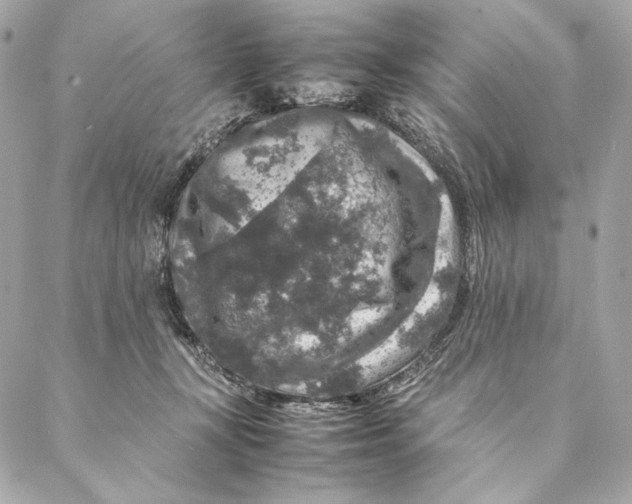 X0000087370367200705111716