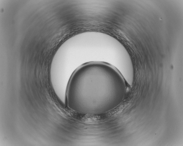 X0000087370368200705111716