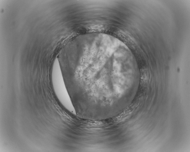 X0000087370369200705111716