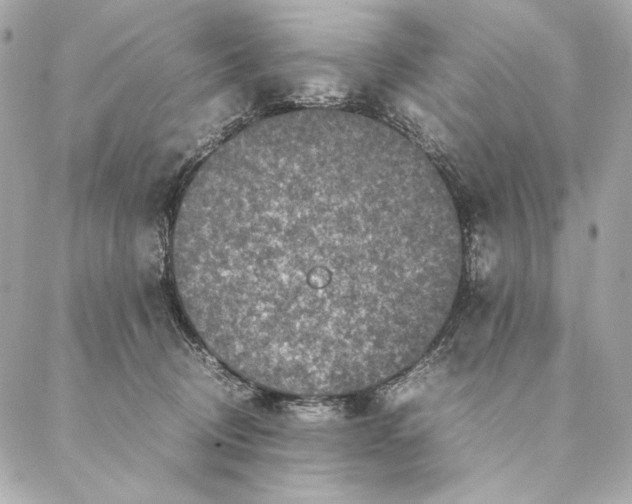 X0000087370370200705111716