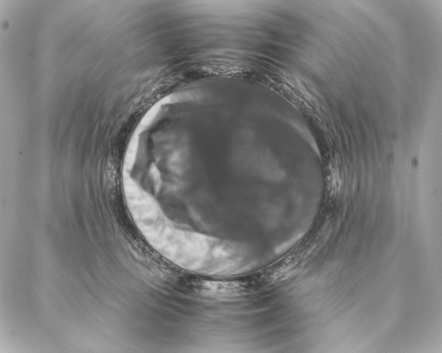 X0000087370371200705111716