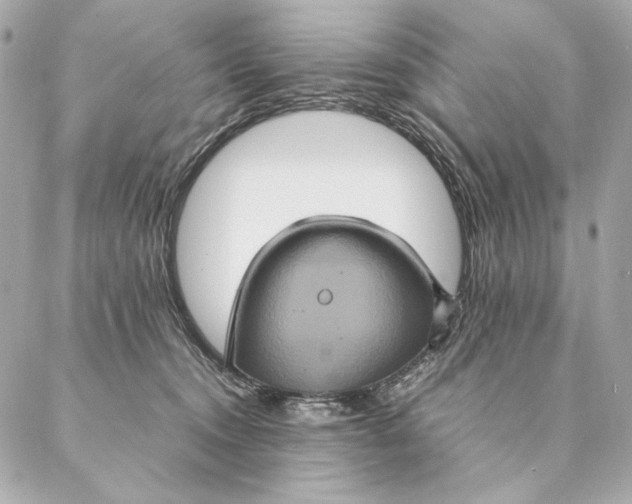 X0000087370372200705111716