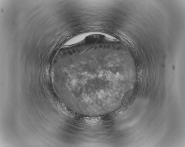 X0000087370373200705111716