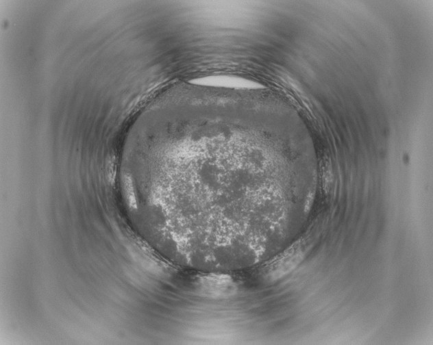 X0000087370374200705111716