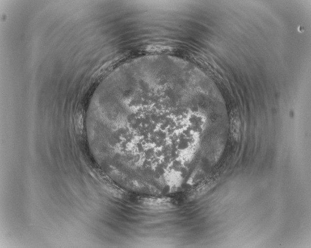 X0000087370375200705111716