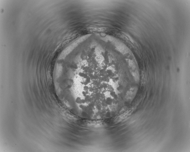 X0000087370377200705111716