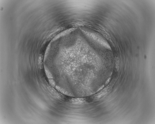 X0000087370378200705111716