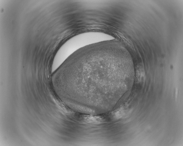 X0000087370379200705111716