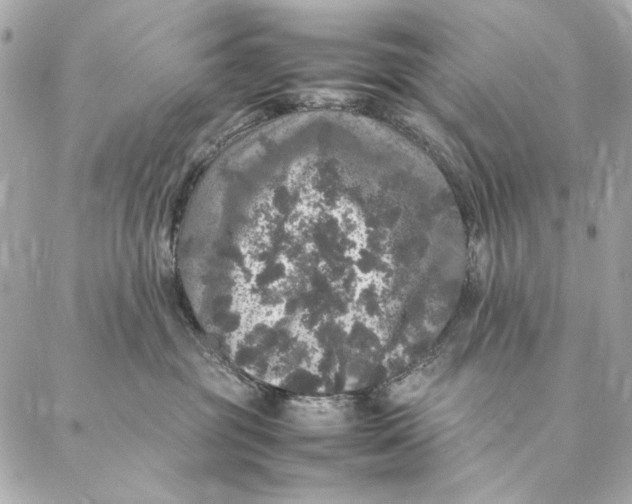 X0000087370381200705111716