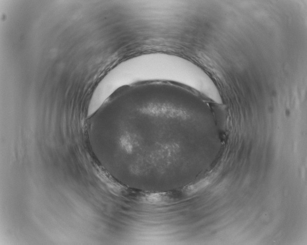 X0000087370382200705111716