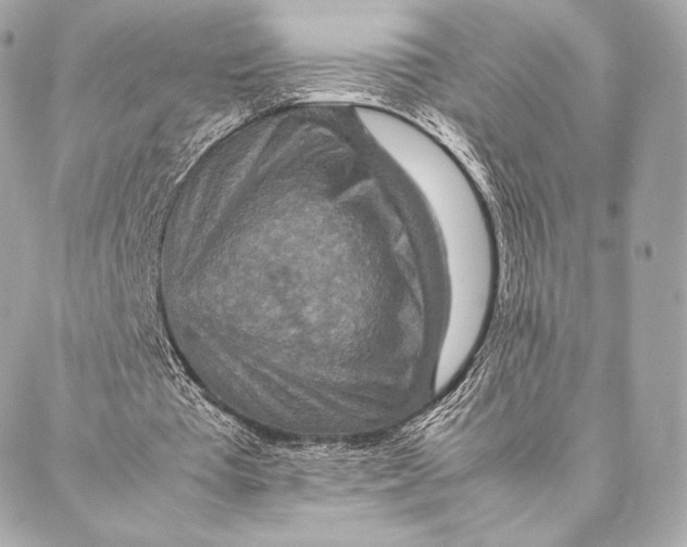 X0000087370385200705111716