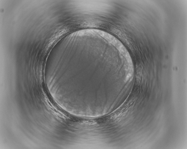 X0000087370386200705111716