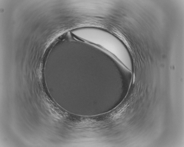 X0000087370387200705111716