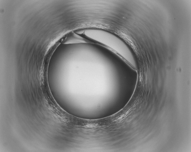 X0000087370388200705111716