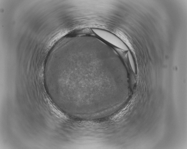 X0000087370389200705111716