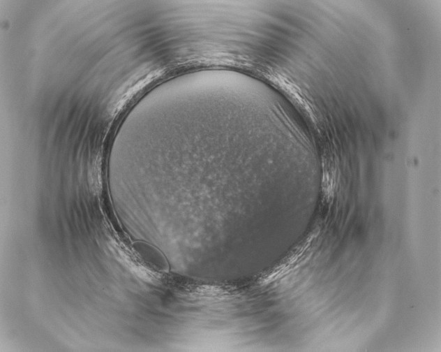 X0000087370390200705111716