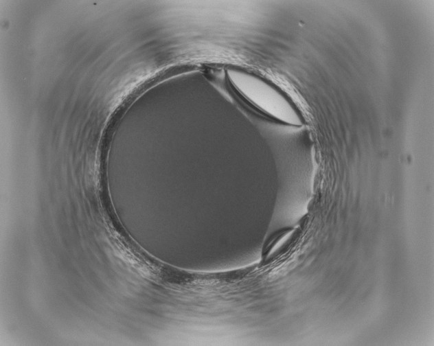 X0000087370391200705111715