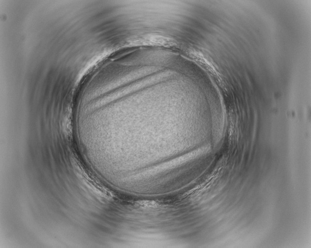 X0000087370392200705111715