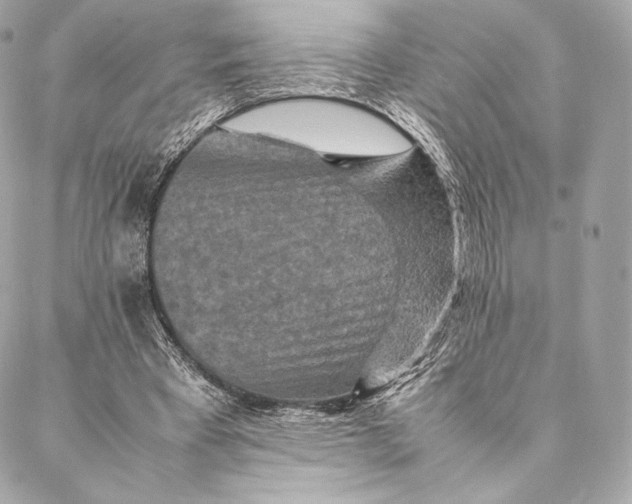 X0000087370393200705111715