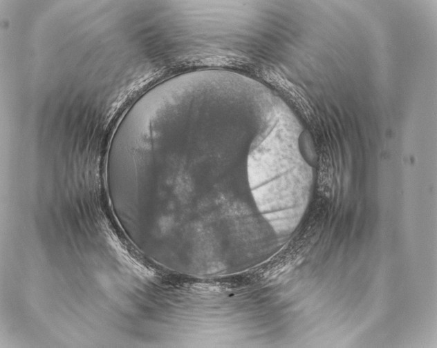 X0000087370394200705111715