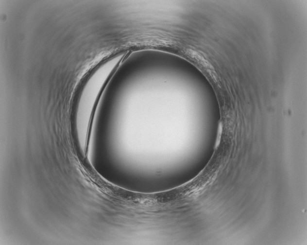 X0000087370395200705111715