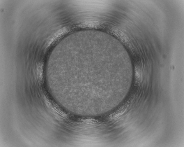 X0000087370396200705111715