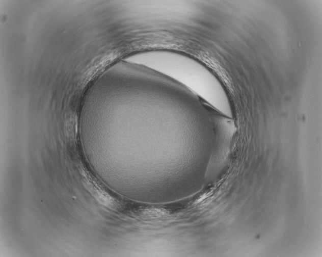 X0000087370397200705111715