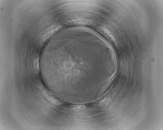 X0000087370398200705111715