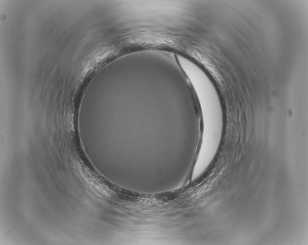 X0000087370399200705111715