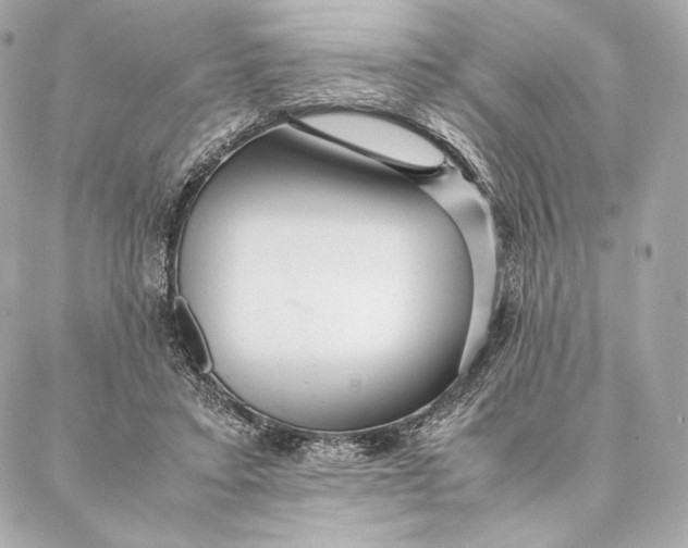 X0000087370403200705111715