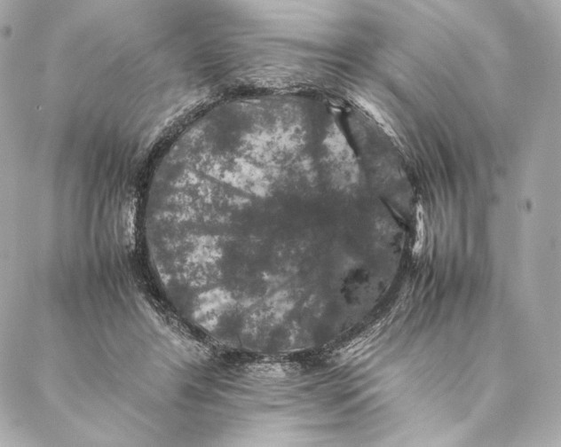 X0000087370404200705111715