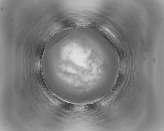 X0000087370405200705111715