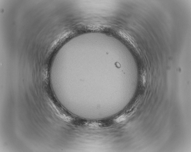 X0000087370407200705111715