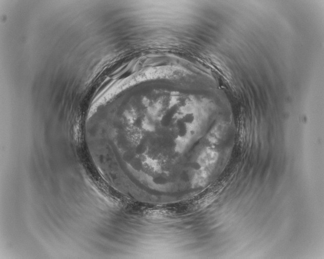 X0000087370408200705111715