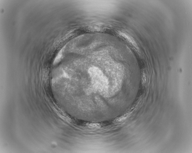 X0000087370409200705111715