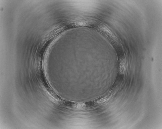 X0000087370410200705111715