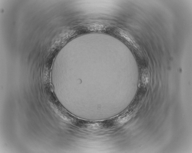 X0000087370411200705111715