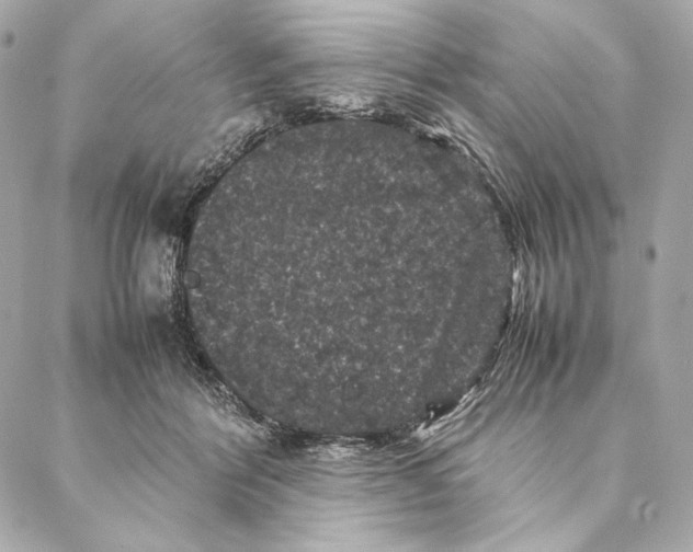 X0000087370412200705111715