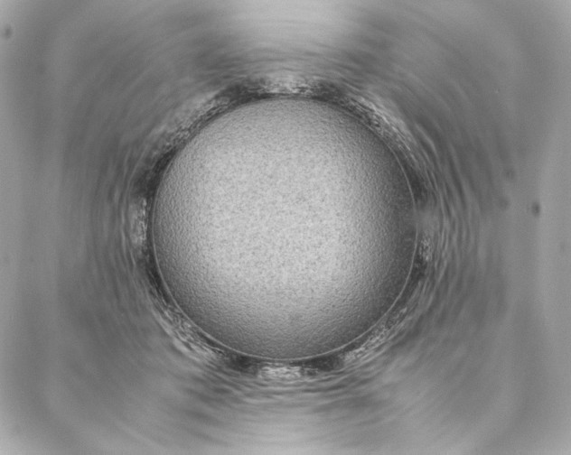 X0000087370413200705111715